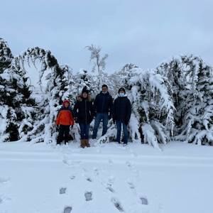 Meet your Posher, Armando